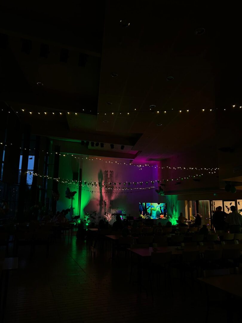 Värikkäitä valoja pimeydessä