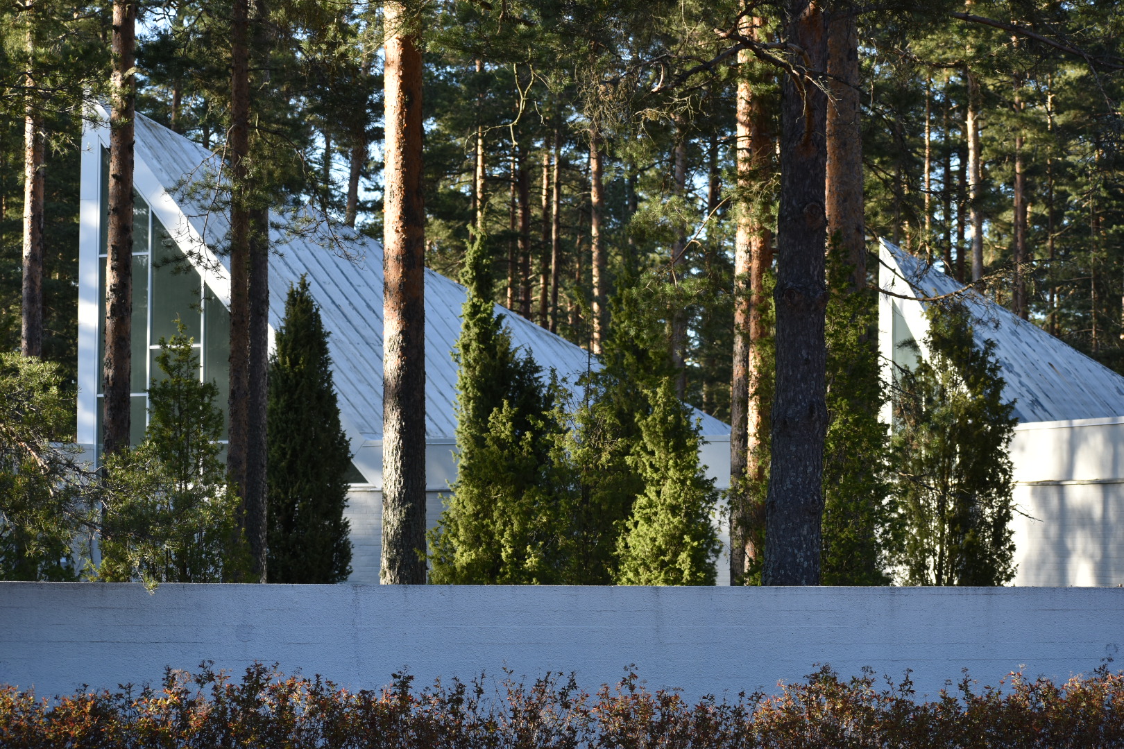 Ristiniemen kappeli mäntymetsän keskellä.